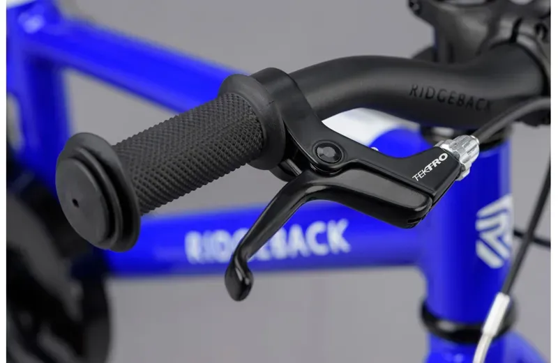 Ridgeback Dimension 14 Kids Bike in Blue-3
