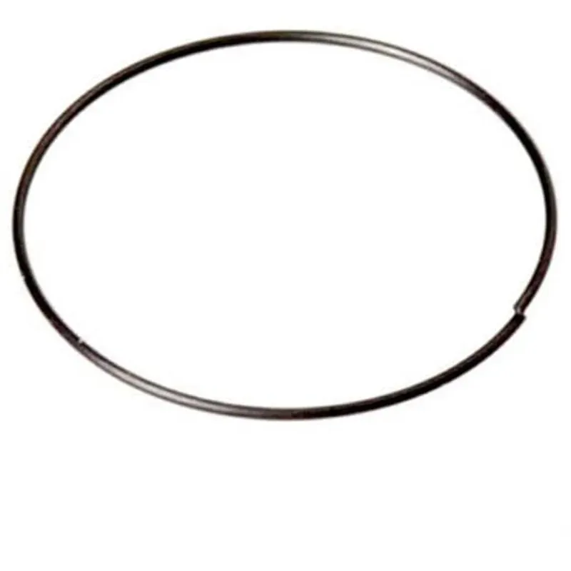 DT Swiss 3-Pawl 21.4 Mm Retainer Spring in Black