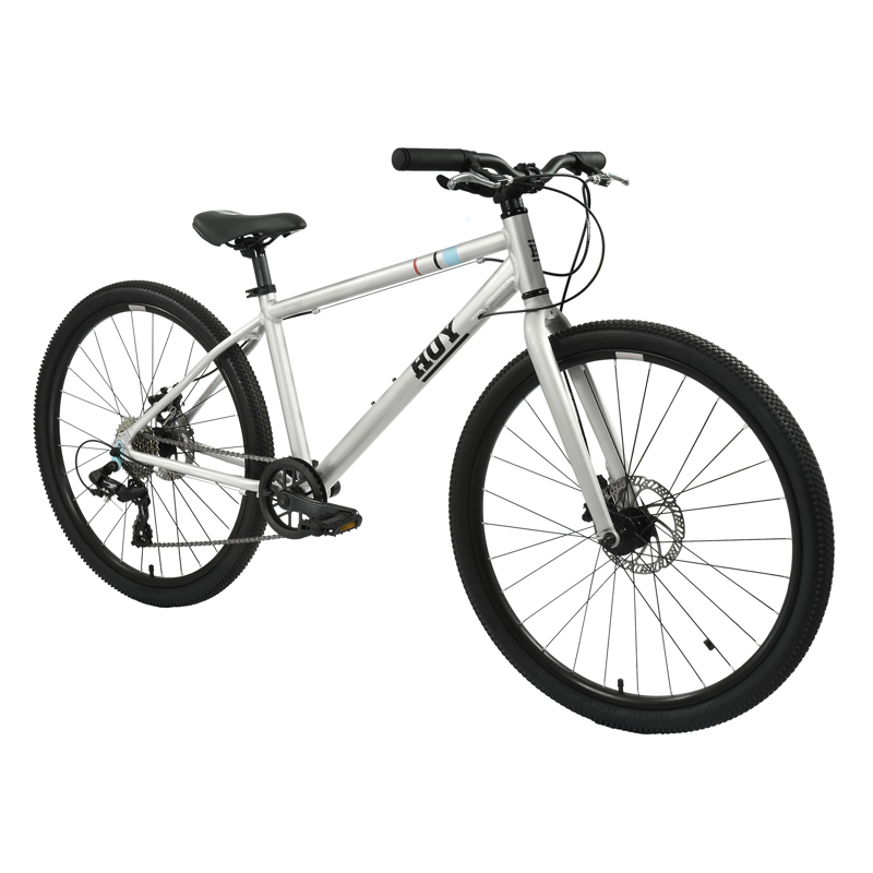 Hoy Pentland 26in Kids Bike in Titanium Silver-1